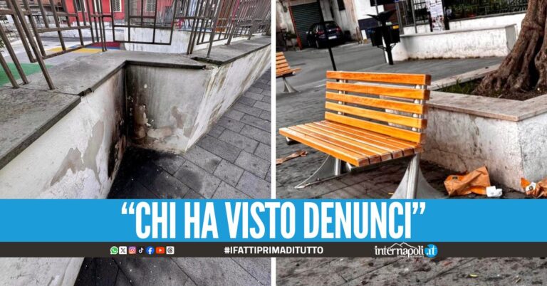 Gatto bruciato vivo in piazzetta, ritrovamento choc a Sant'Antonio Abate