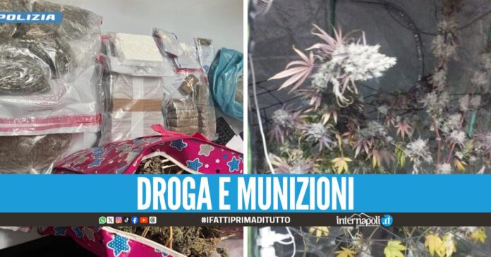 Una centrale della droga in casa: sequestrati 10 kg tra cocaina, hashish e marijuana