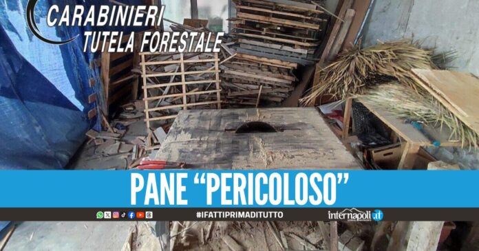 Cuociono il pane bruciando rifiuti nel forno, sequestrato panificio nel Casertano