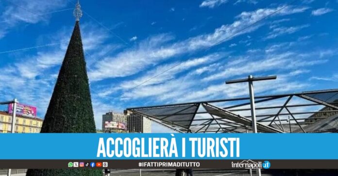 Napoli si prepara al Natale a piazza Garibaldi arriva un albero di 15 metri