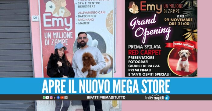 Tutto pronto per la prima edizione di 'Emy-Un milione di zampe', a Casalnuovo la prima sfilata a 4 zampe sul red carpet