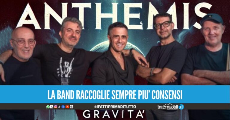 anthemis