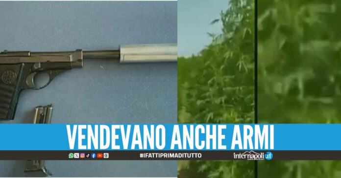 Oltre 40 arresti contro i narcos di Crotone, manette anche a Napoli