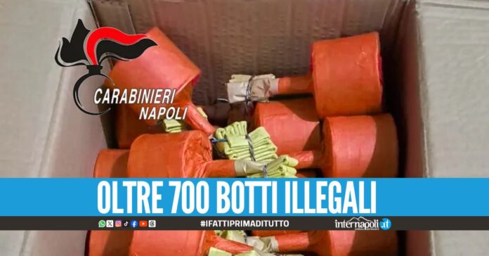 Cobra e 'cipolle' nascoste nel box, 21enne arrestato a Casoria