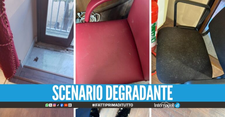 "Puzza di urina e feci di gatto", la minoranza denuncia le condizioni della Sala Consiliare del Comune di Villaricca