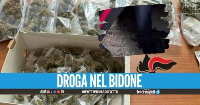 Doppio blitz nel Napoletano, 5 arresti e 5 kg di marijuana sequestrati