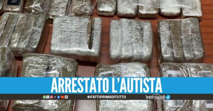 Hashish dalla Spagna a Napoli, scatta il sequestro di 2 quintali