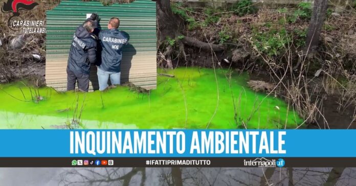Fabbrica di dolci sequestrata nel Napoletano, blitz dei carabinieri