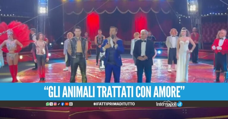 Il circo Orfei si difende dalle accuse di maltrattamenti Stiamo stati noi ad essere offesi ed insultati