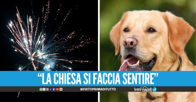 Lettera degli animalisti al Vescovo in Campania: "Perché tanti soldi per i botti?"