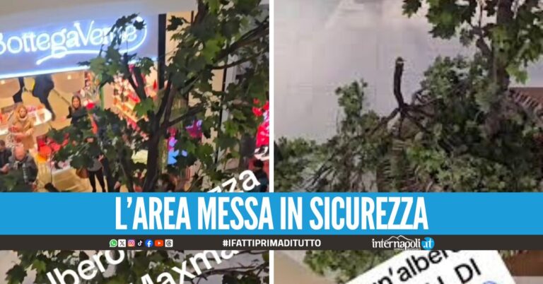 Crolla un albero all'interno del Maximall Pompeii, grande spavento tra i visitatori