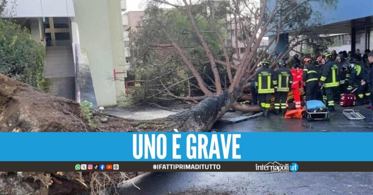 Cade albero all'università di Salerno a causa del forte vento, cinque studenti feriti