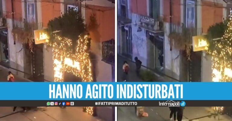 Baby gang in azione a via Toledo, arrivano con una scala e rubano l'albero di Natale da un negozio