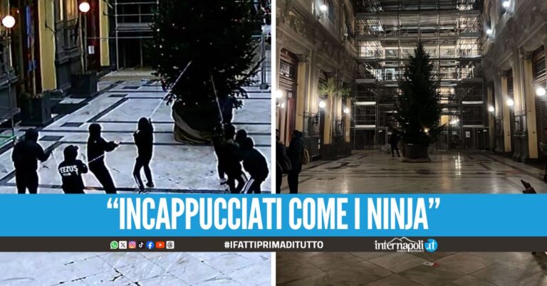 Baby gang in azione nella Galleria Principe di Napoli, tentano di rubare l'albero di Natale con le funi