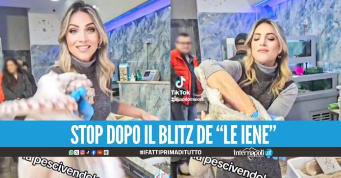 Polemiche sui maltrattamenti ai polpi, chiuso l'account TikTok della 