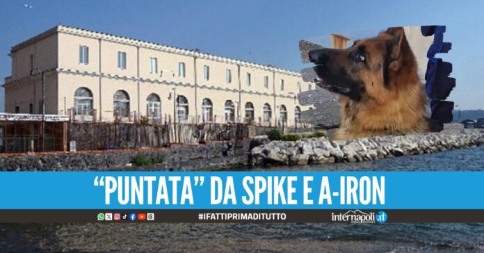 Va in carcere a Nisida con l'hashish addosso per il figlio, donna scoperta dai cani antidroga
