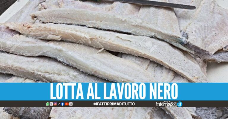 Natale Sicuro a Torre del Greco, sequestrati 15 kg di baccalà