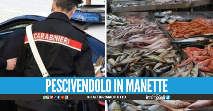 Ruba 600 kg di pesce dalla pescheria rivale a Sorrento, arrestato a pochi giorni dal Natale