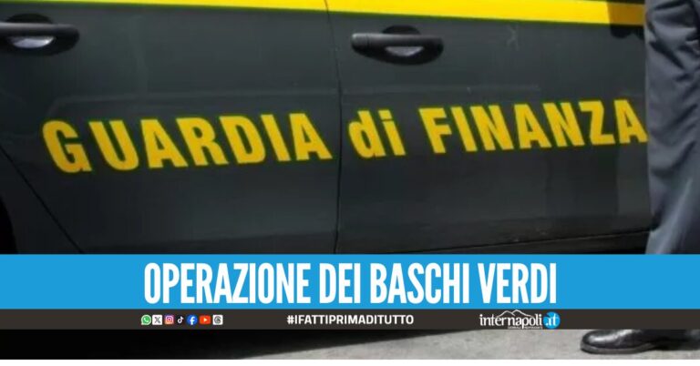 guardia di finanza