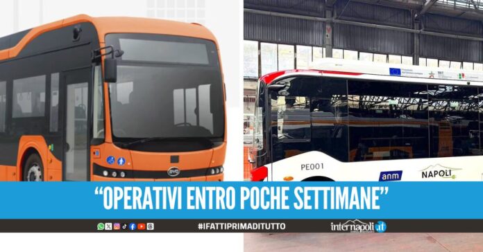 In arrivo 78 nuovi bus elettrici a Napoli: saranno muniti di Wi-Fi, aria condizionata e telecamere