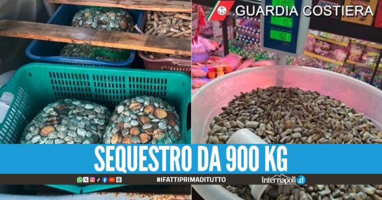 Cozze, vongole e cannolicchi "abusivi" e dannosi per la salute: chiusa una pescheria a Giugliano