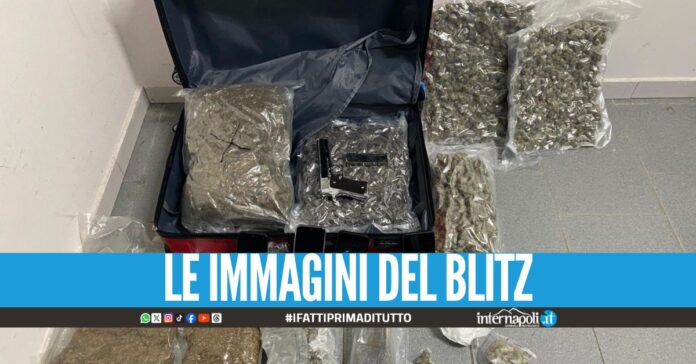 Colpo al narcotraffico tra Spagna e Napoli, presi fornitori e camionisti