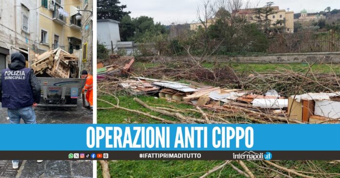 Dalla Sanità ai Quartieri Spagnoli, maxi sequestri per Cippo di Sant'Antonio