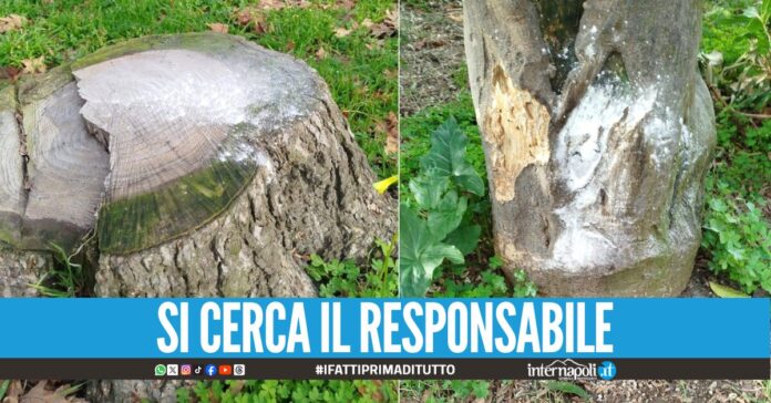 Una polvere bianca ricopre le strade di Pozzuoli, il sindaco Fate attenzione