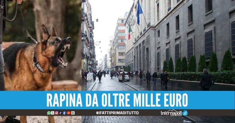 Aizza il pastore tedesco per rubare in un negozio arrestato un 22enne a via Toledo