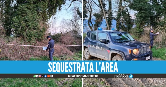 Cimitero abusivo di vitelli bufalini scoperto nel Casertano, rinvenute 22 carcasse