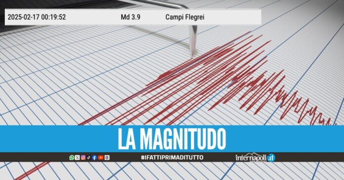 terremoto campi flegrei