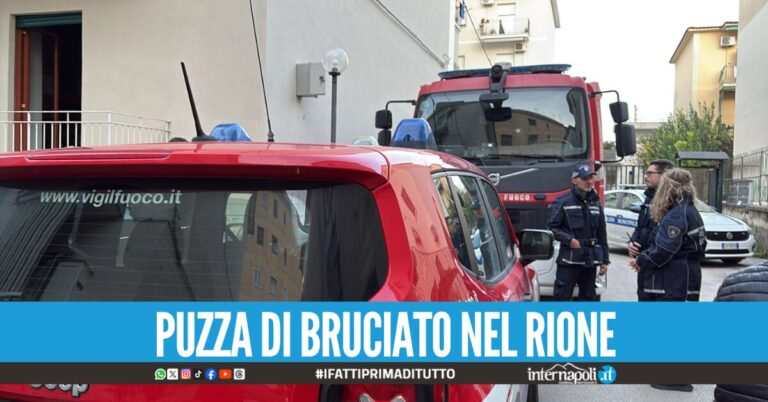 franca frecciarulo