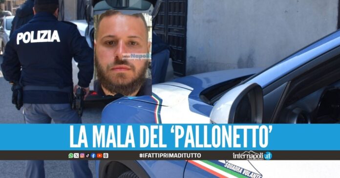 Gennaro Belaeff clan Elia