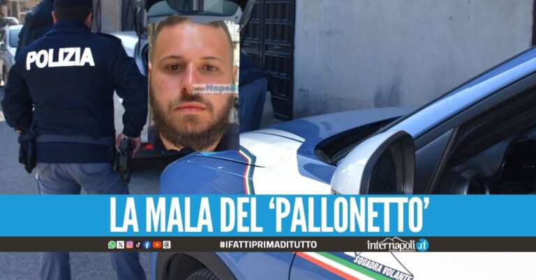 Gennaro Belaeff clan Elia