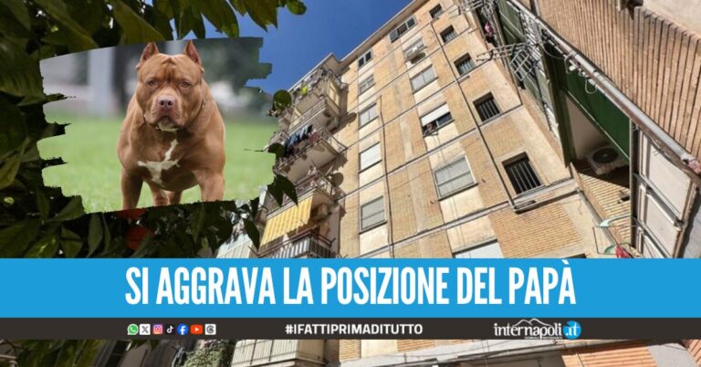 Giulia sbranata ad Acerra, nessuna traccia di sangue della bimba sul pitbull