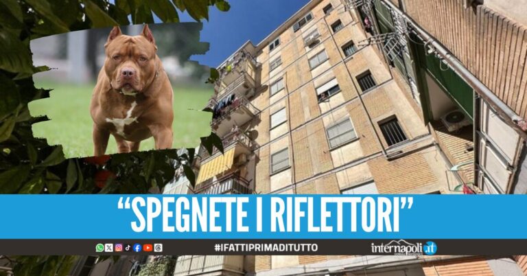 Giulia sbranata dal pitbull ad Acerra, i funerali della piccola si terranno in forma privata