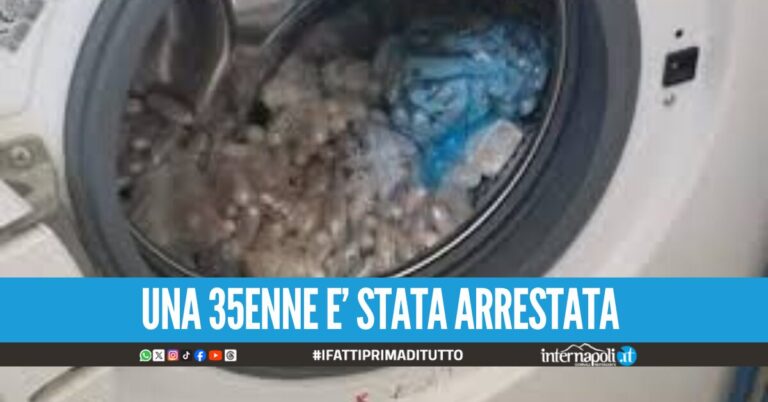 Droga sintetica nella lavatrice, blitz a Sant’Antimo