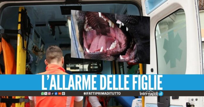 Azzannato in strada dai cani, Salvatore Maggiore muore nel Palermitano