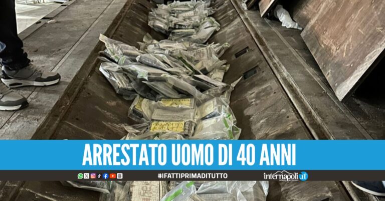 Nuovo blitz a Gioia Tauro, sequestrati oltre 130 kg di cocaina