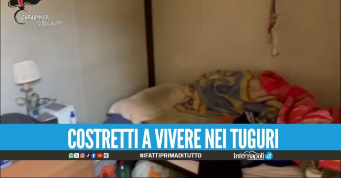Corruzione e immigrazione clandestina: 36 arresti tra Napoli, Salerno e Caserta