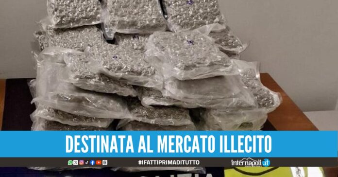 Da Dubai atterra a Capodichino con 23 kg di marijuana arrestato un uomo
