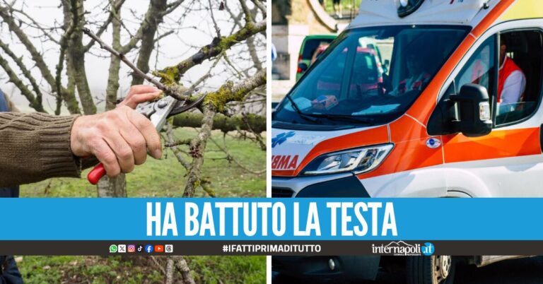 Dramma sul lavoro in Cilento, operaio precipita da un albero e muore