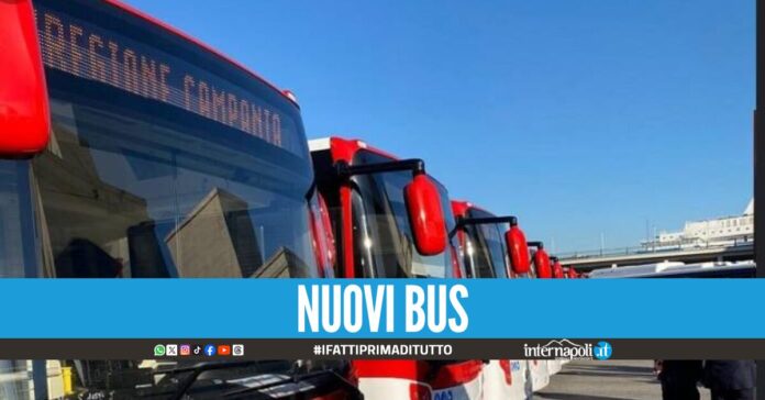 Eav, consegnati 35 nuovi autobus a metano: la flotta arriva a 400 veicoli
