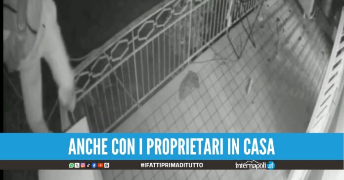 furti a raffica all'arenella