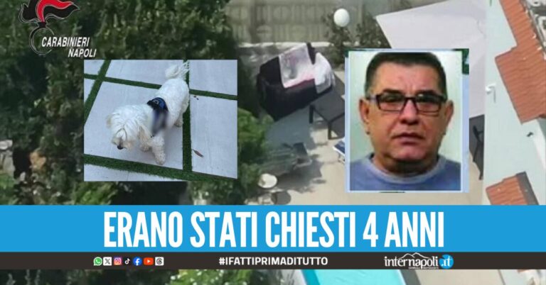 Il boss di Villaricca Luigi Cacciapuoti arrestato grazie al cagnolino, assolta la compagna