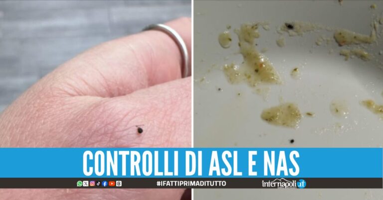Insetti nei pasti della mensa scolastica: controlli in 3 comuni del Napoletano