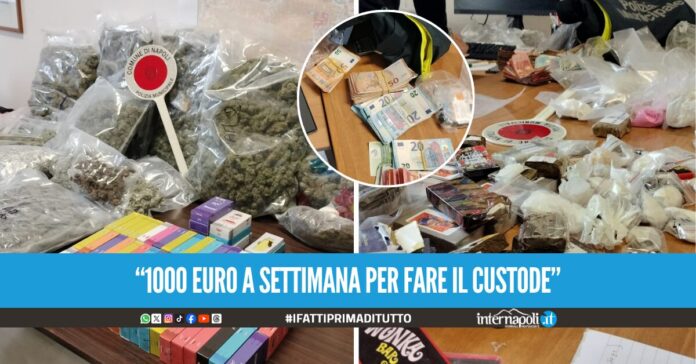 Nel B&B a Napoli con 42 chili di droga, pistola e 24mila euro: 19enne in manette