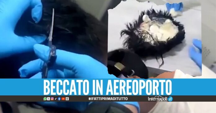 Nasconde la cocaina sotto al parrucchino, bloccato corriere colombiano