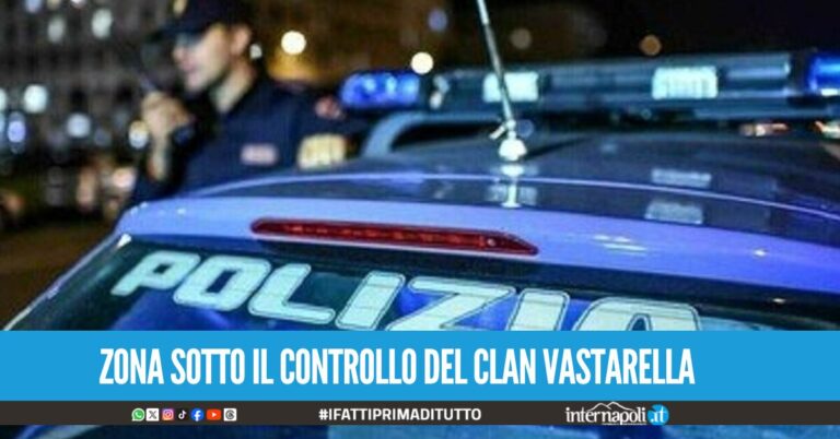spari materdei