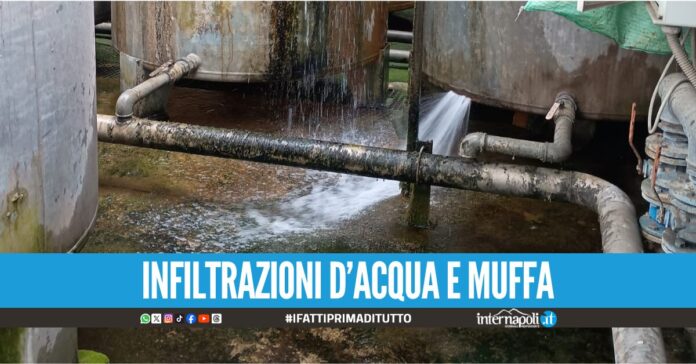 Carenze igienico-sanitarie, sequestrato l’impianto di una lavanderia industriale a Secondigliano